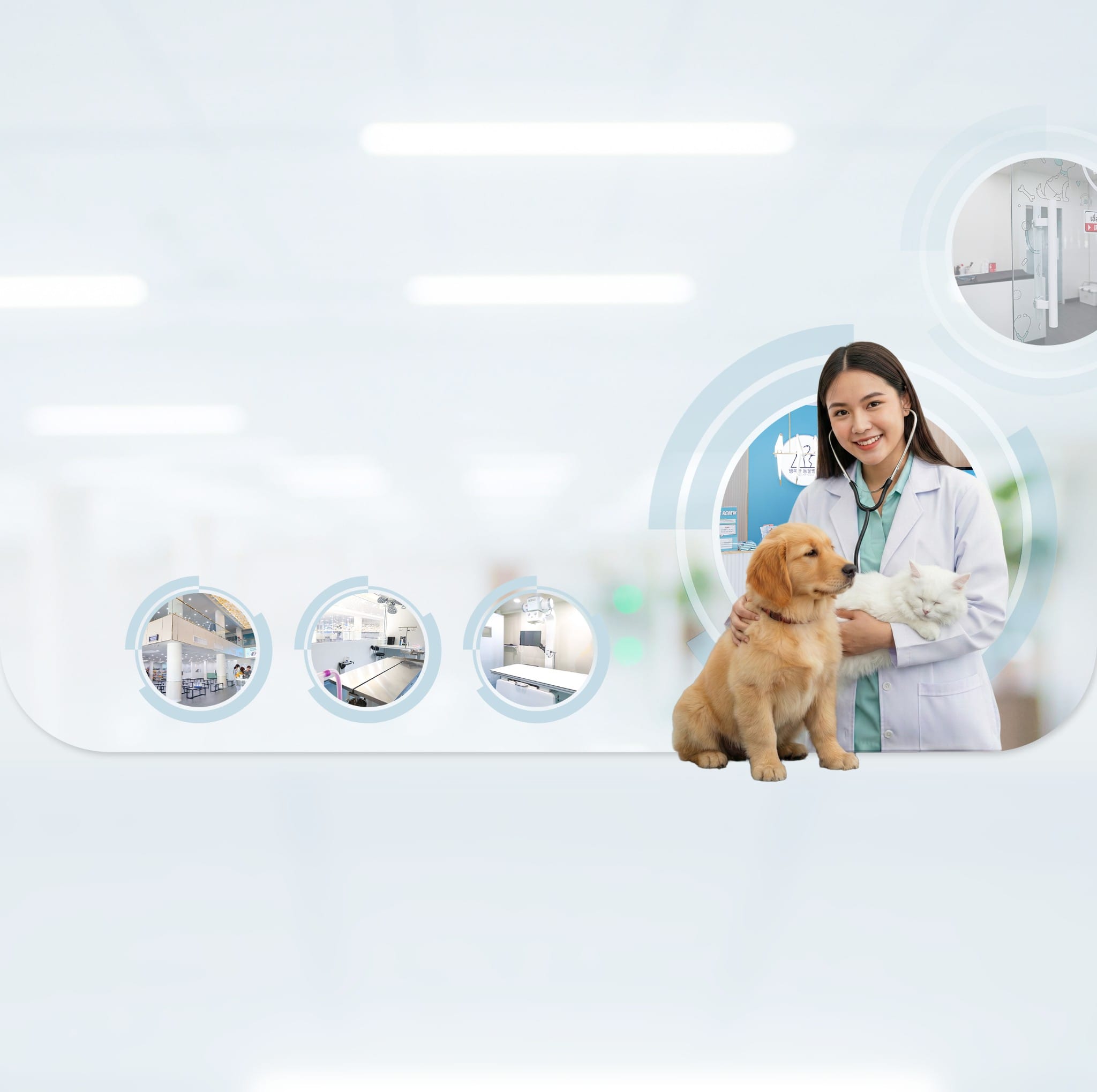 Veterinarian petting a dog