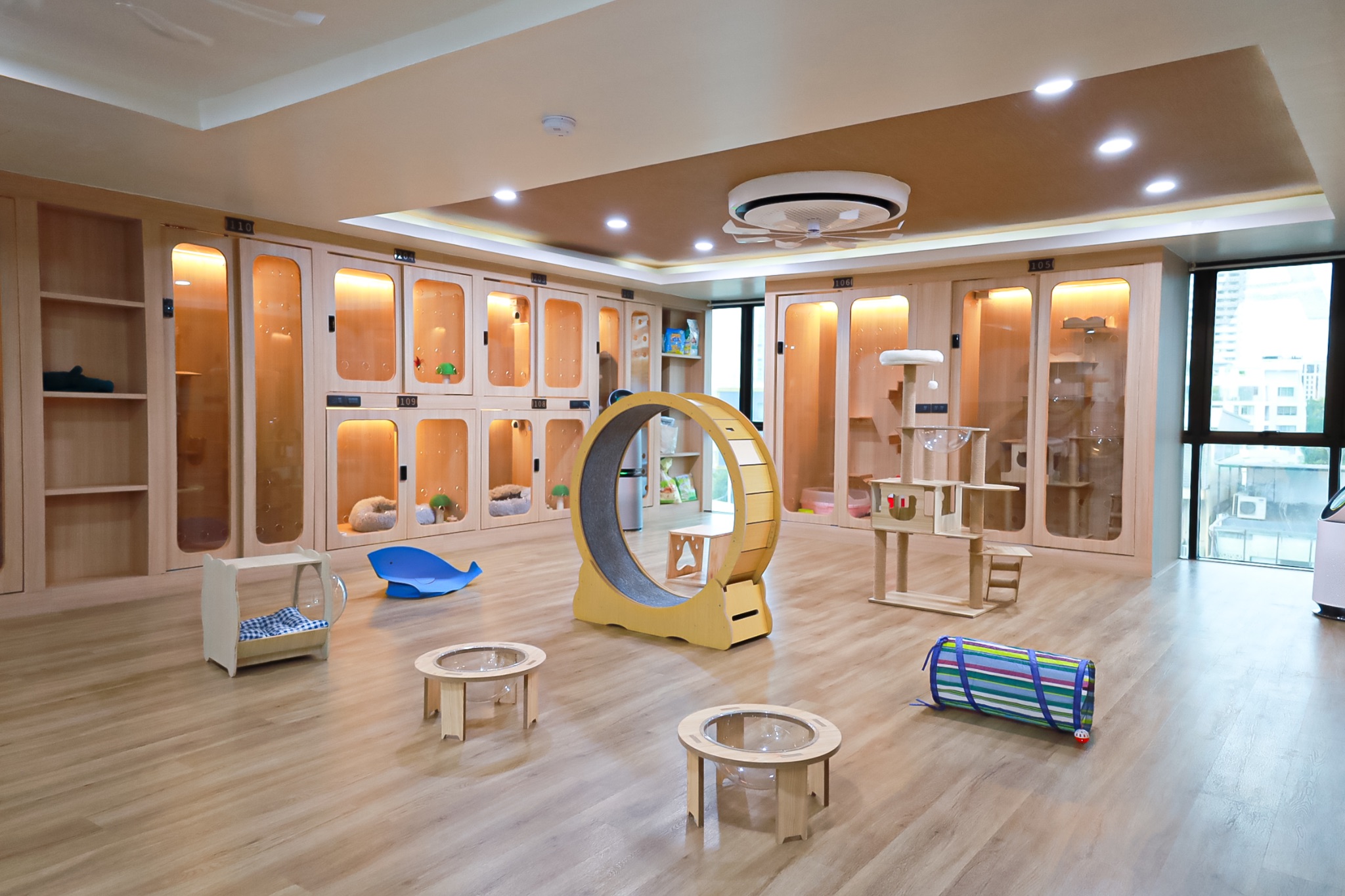 Cat Hotel & Playroom