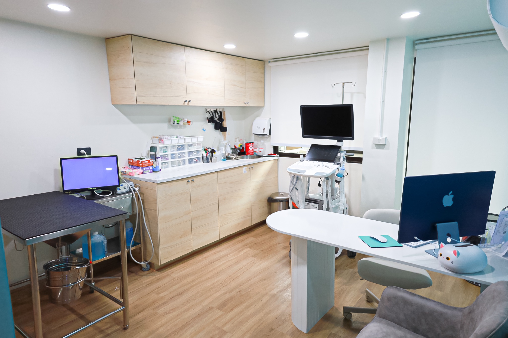 Consultation Room