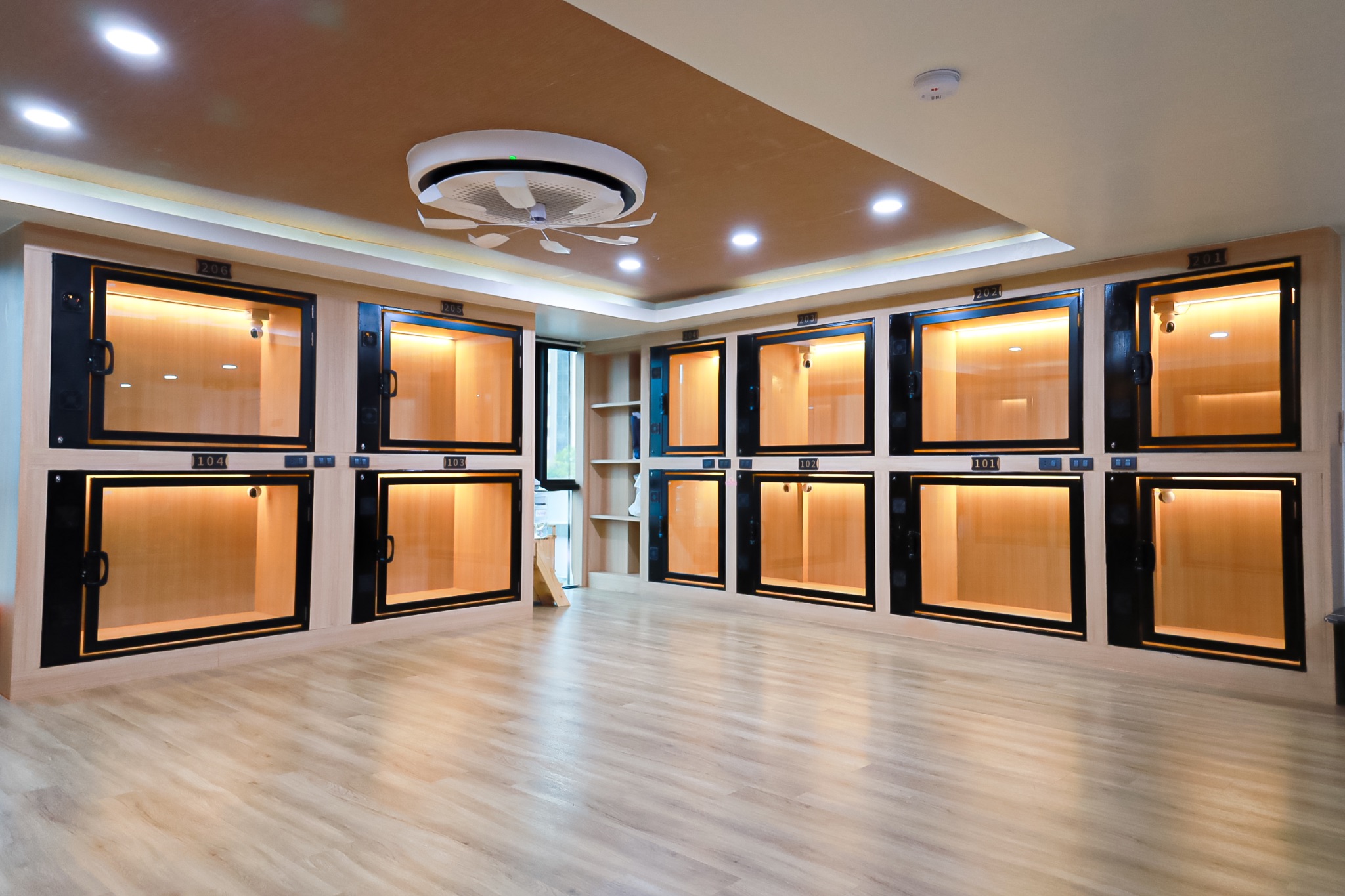 Luxury Dog Hotel