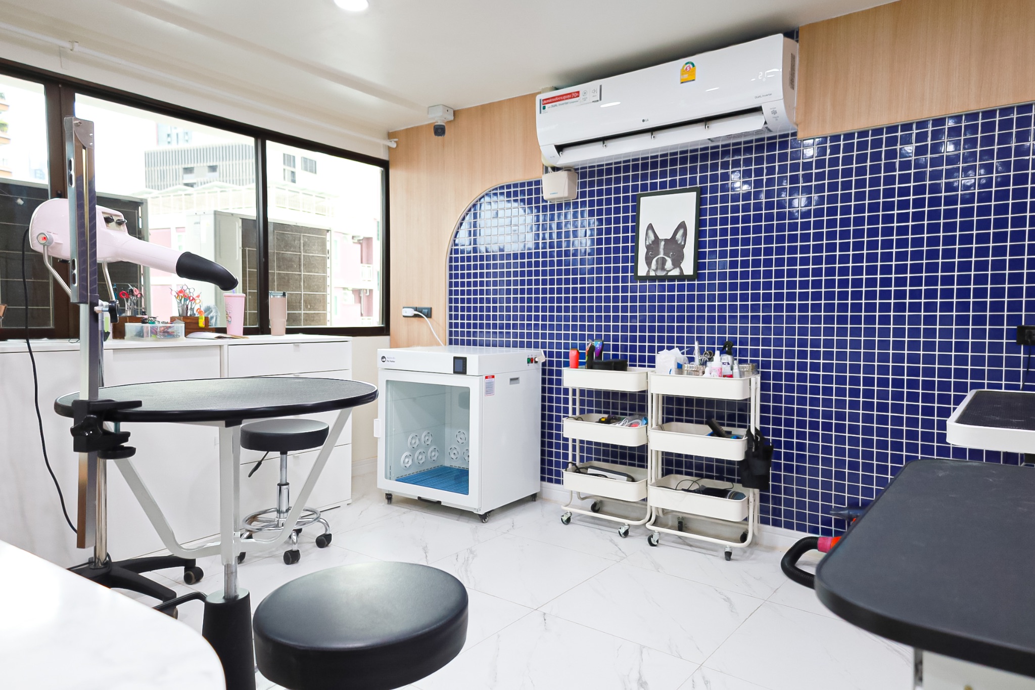Professional Grooming Salon
