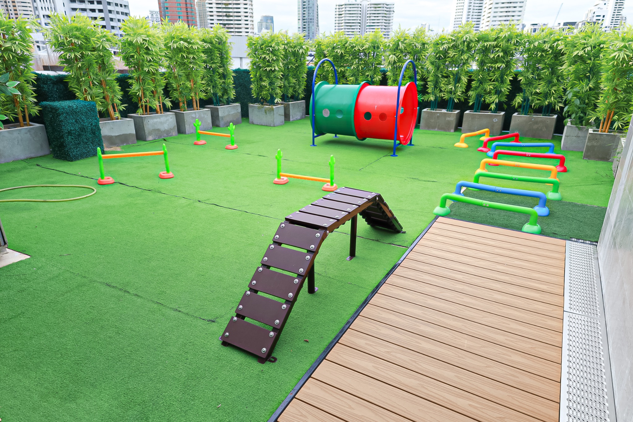 Rooftop Dog Playground