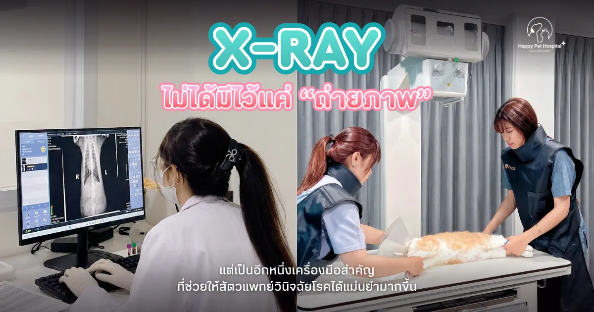 X-ray: More Than Just an Image