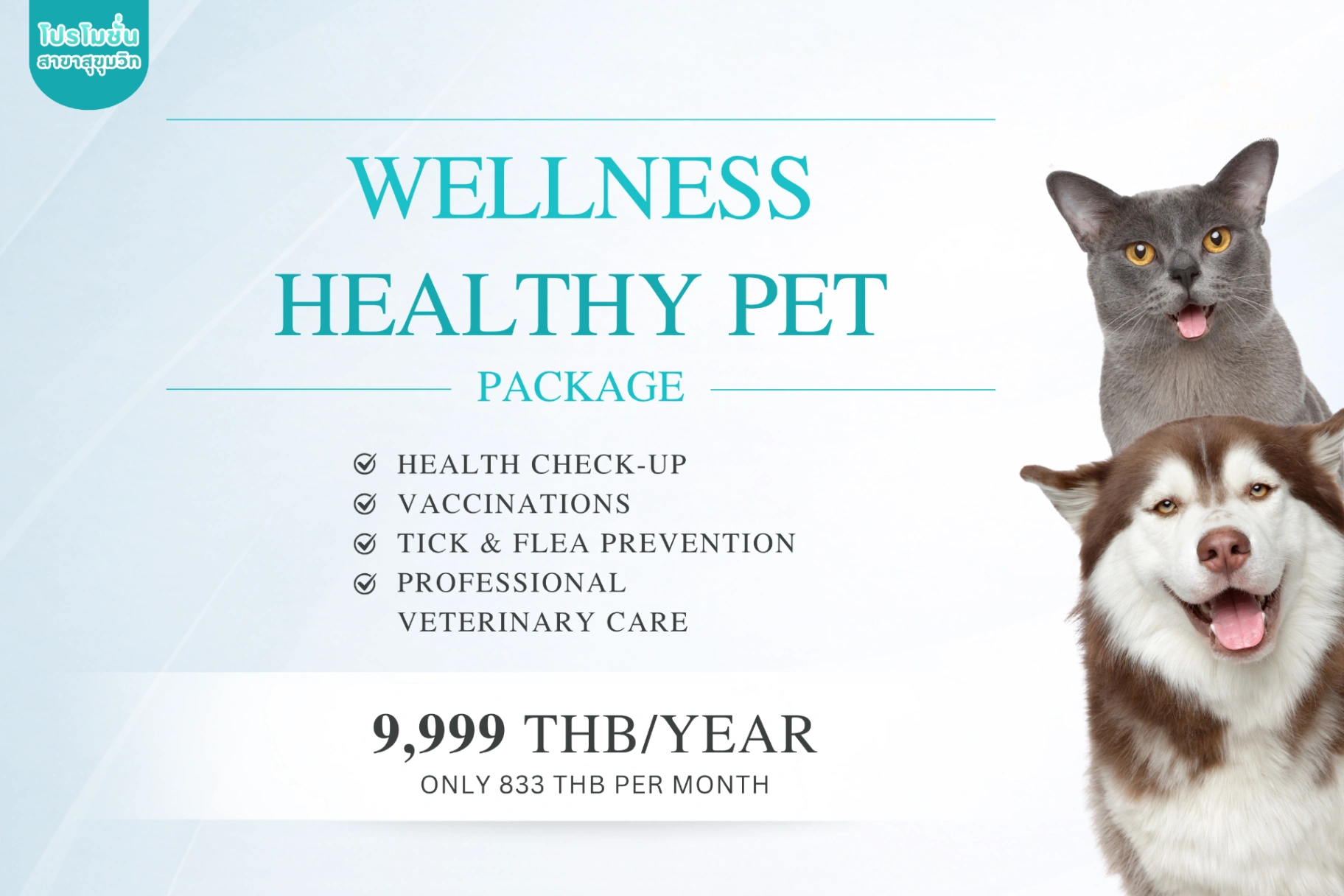Wellness Healthy Pet 패키지