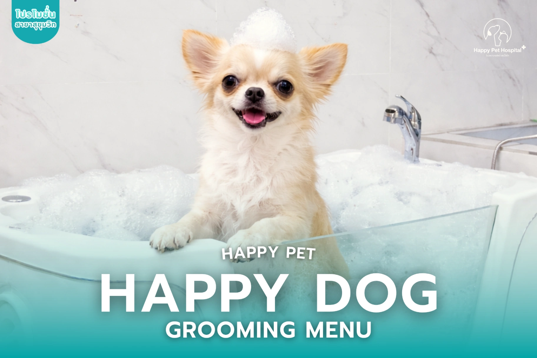 Happy DOG 그루밍