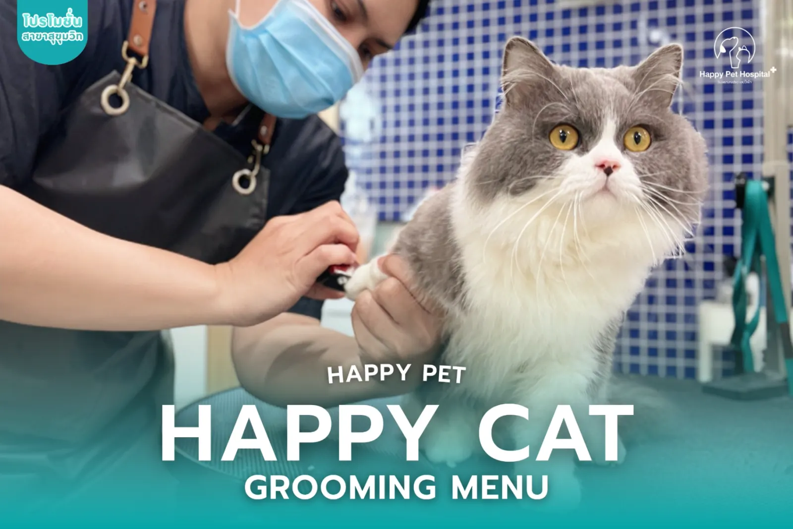 Happy CAT 그루밍