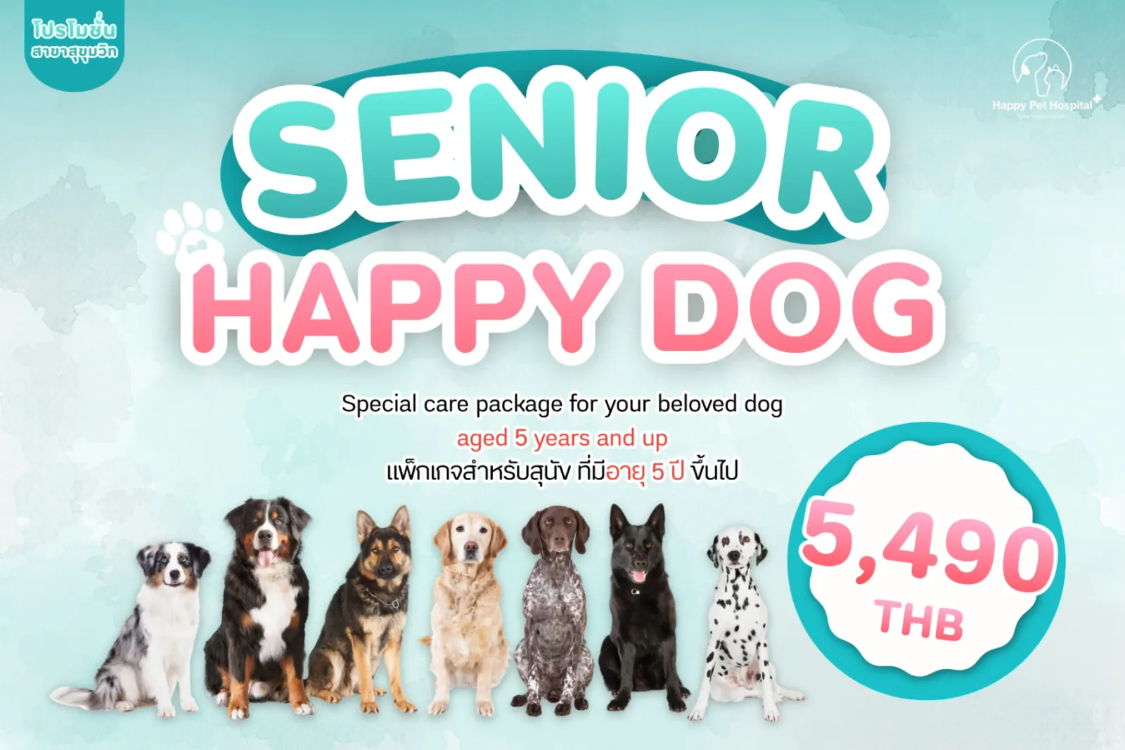 Senior Happy Dog (강아지 주요 질환 선별 검사)