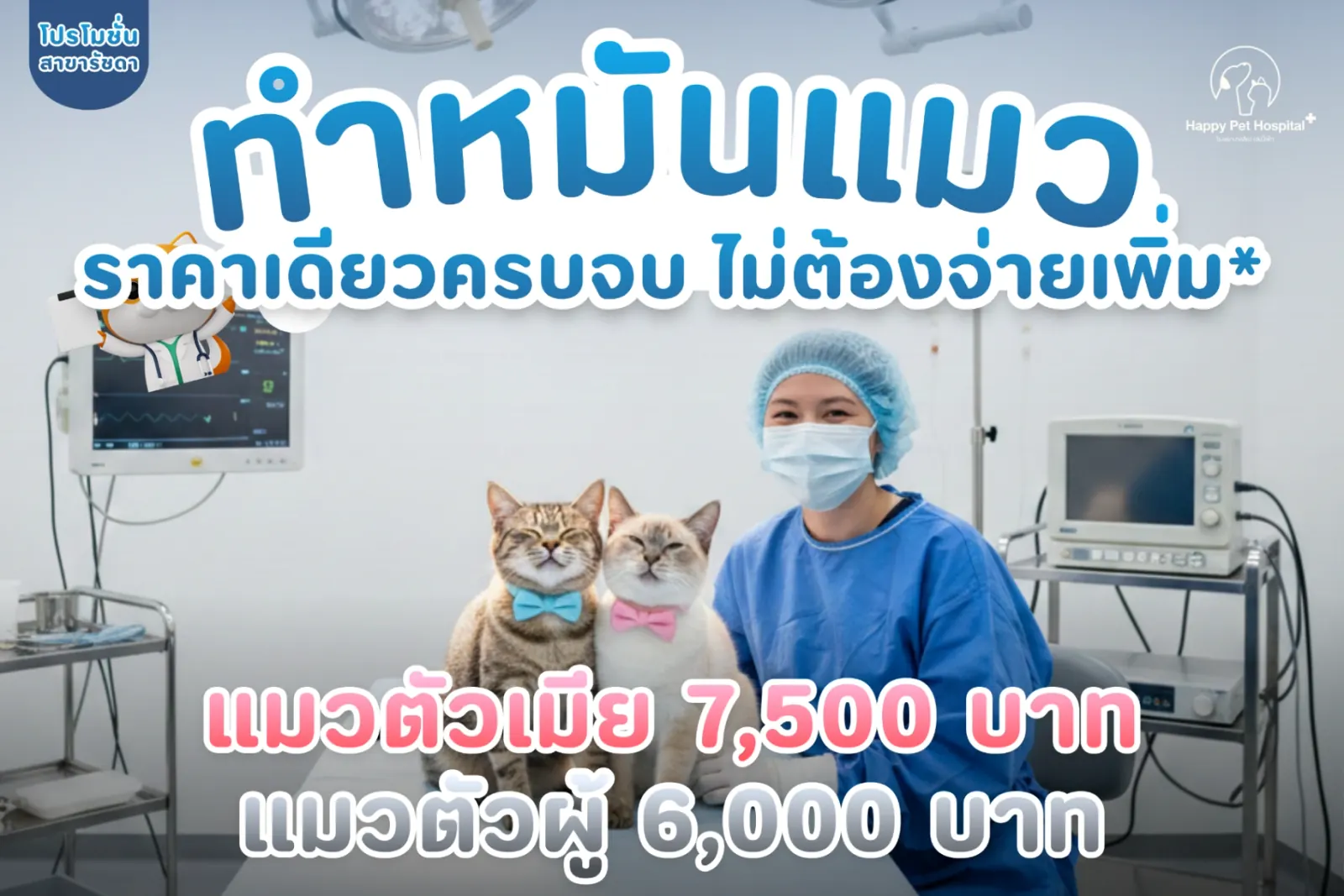 고양이 중성화 수술 프로모션