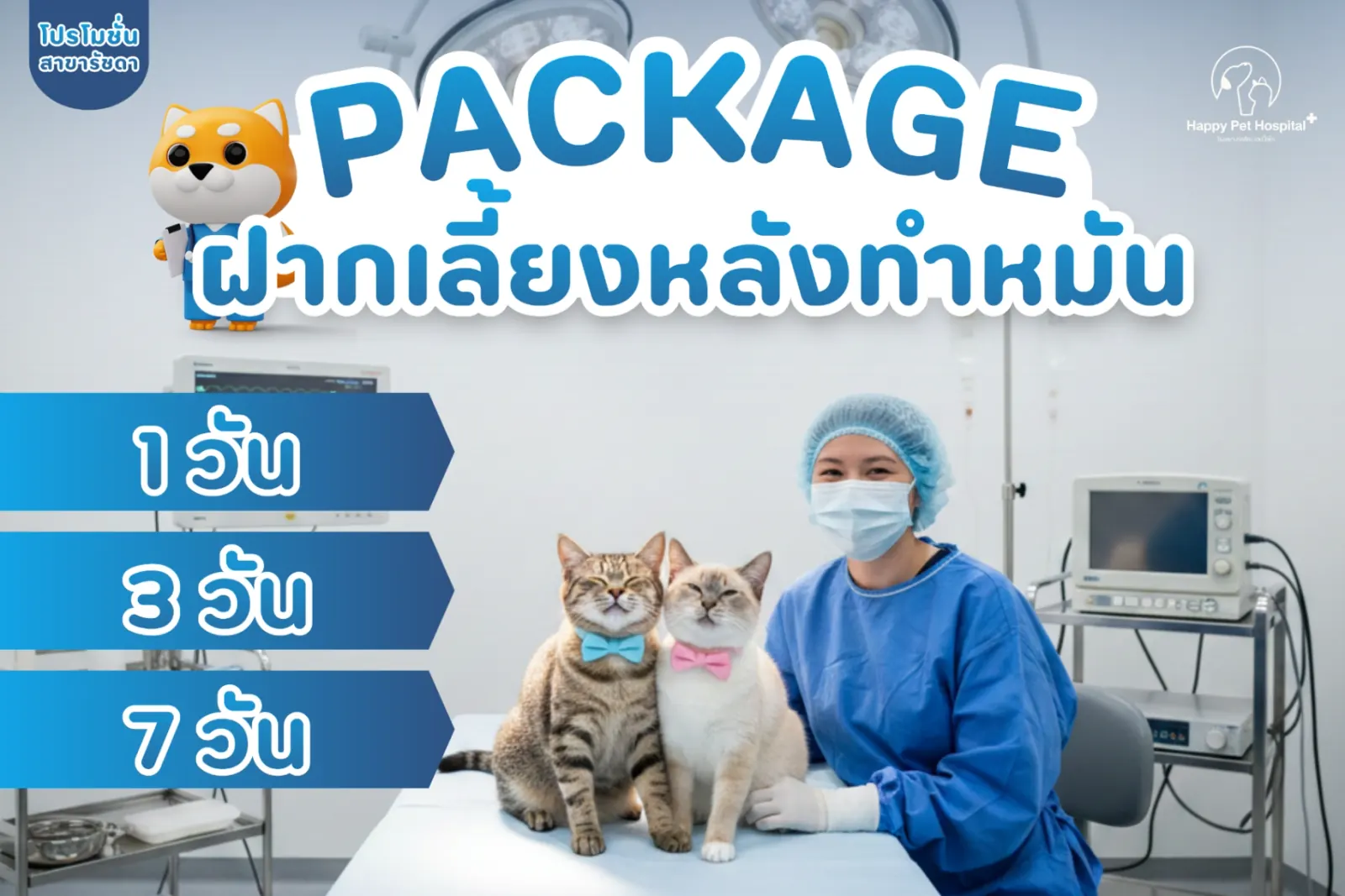 Post-spay/neuter care package