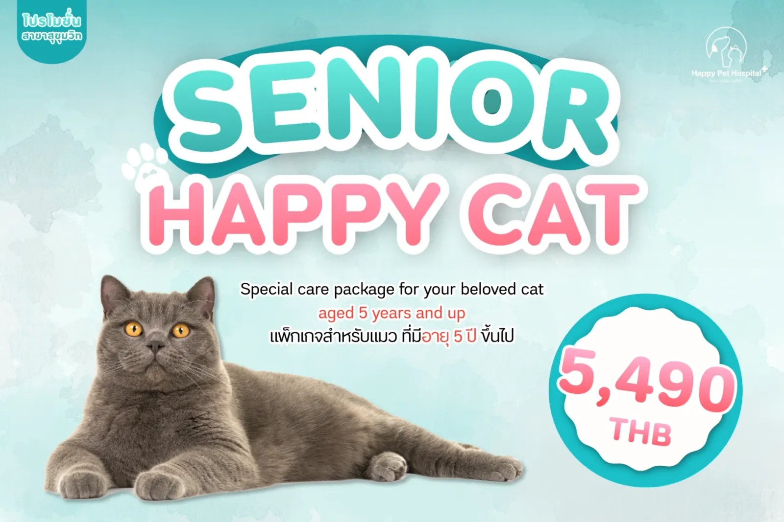 Senior Happy Cat (노령묘 주요 질환 종합 검진)